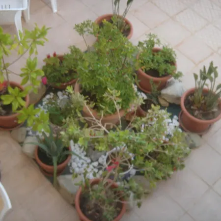 Iliaktida Apartmán